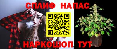мдпв Ставрополь